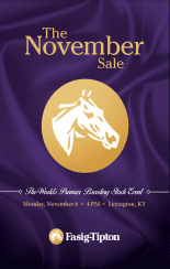 2017 Fasig-Tipton November Sale