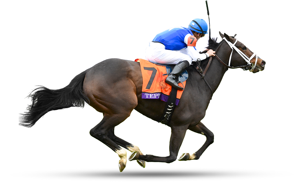 Tepin