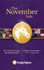 2018 Fasig-Tipton November Sale