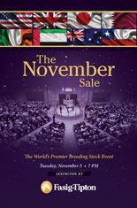 2019 Fasig-Tipton November Sale