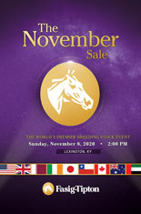 2020 Fasig-Tipton November Sale