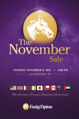 2021 Fasig-Tipton November Sale